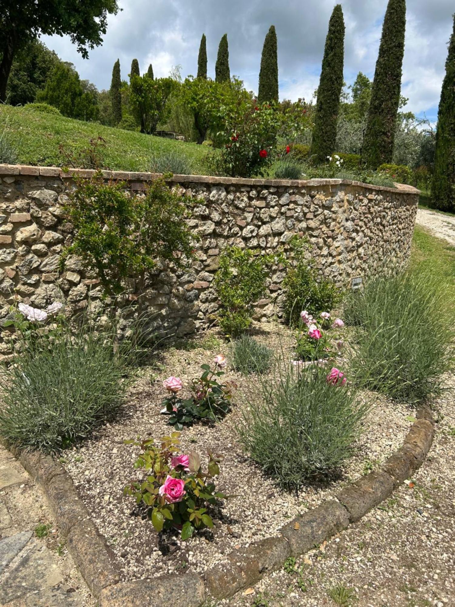 Podere Casanuova San Gimignano Extérieur photo