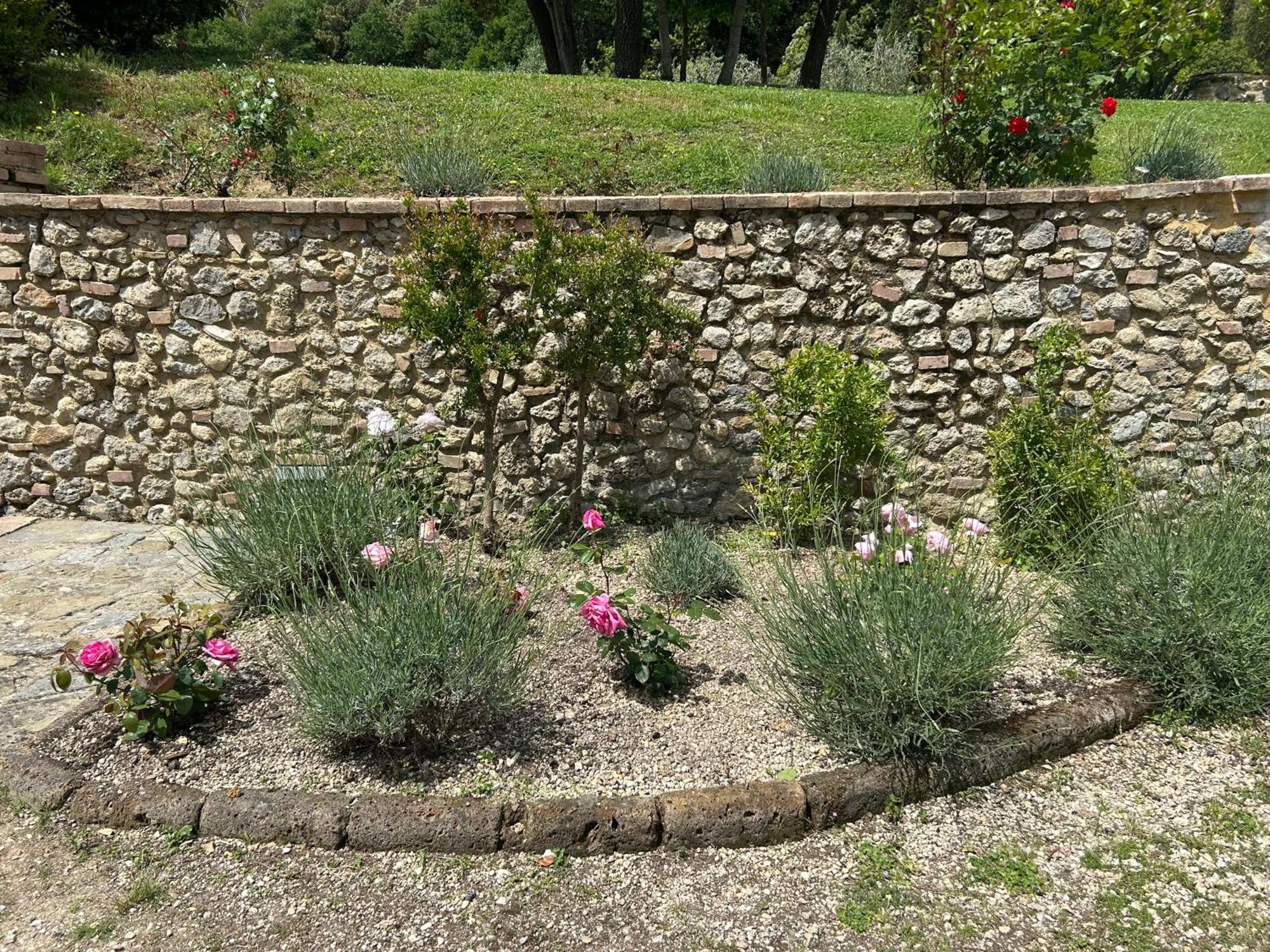Podere Casanuova San Gimignano Extérieur photo
