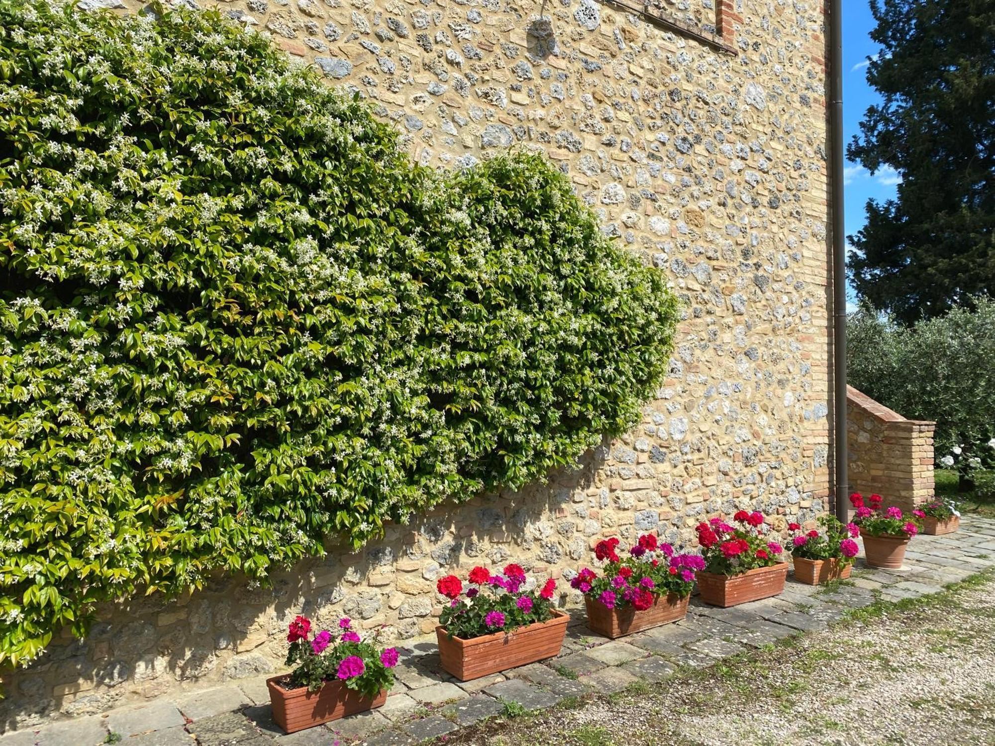 Podere Casanuova San Gimignano Extérieur photo